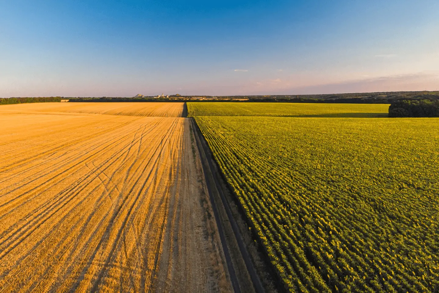 Colorful agricultural fields viewed from above at sunset