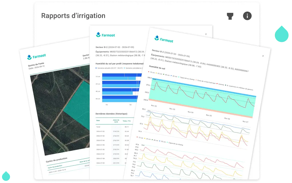 Placeholder visuel des rapports d'irrigation