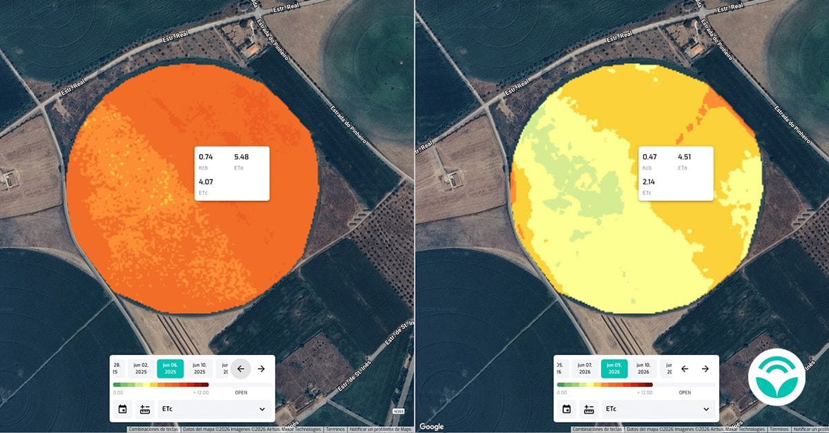 Dados de satélite aplicados à monitorização agrícola