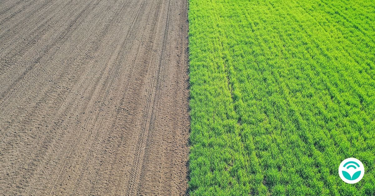 Solo agrícola como base de uma produção resiliente