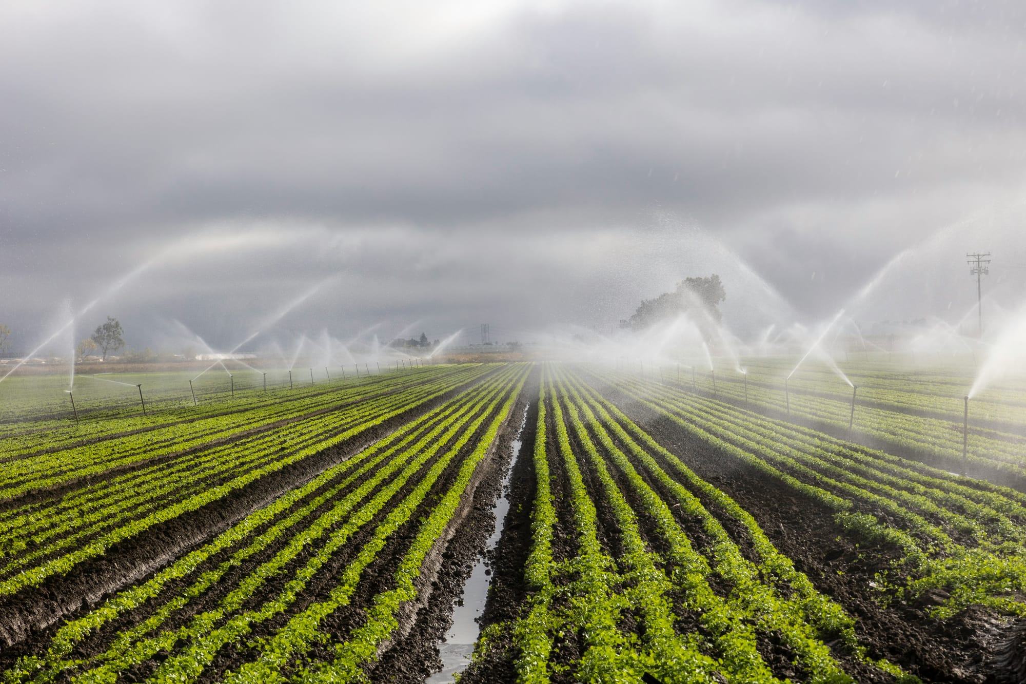 Gestão eficiente da água na agricultura